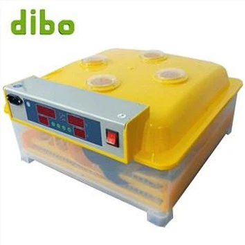 Trứng ấp nhỏ