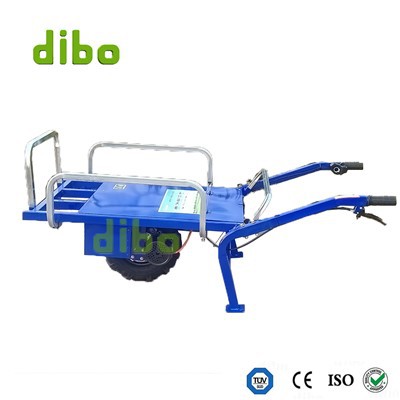 Xe đẩy một bánh xe
