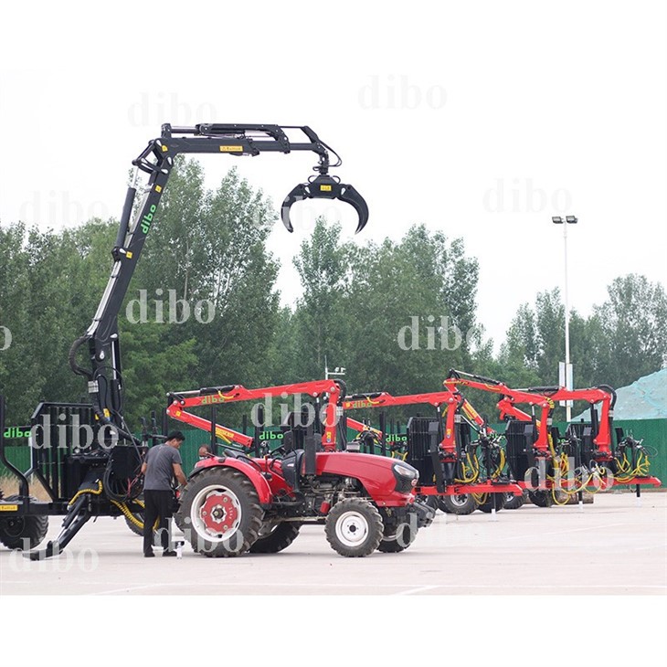 Heavy Duty Timber Crane
