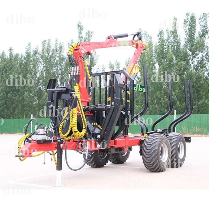 Cần cẩu gỗ nặng
